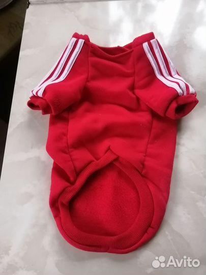 Костюм для собаки