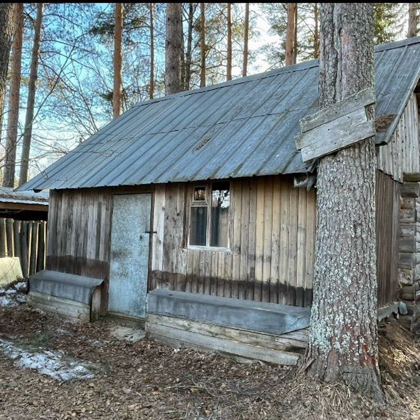 Квартира 3-комн. 39 м² в Суда — фото 15 из 19