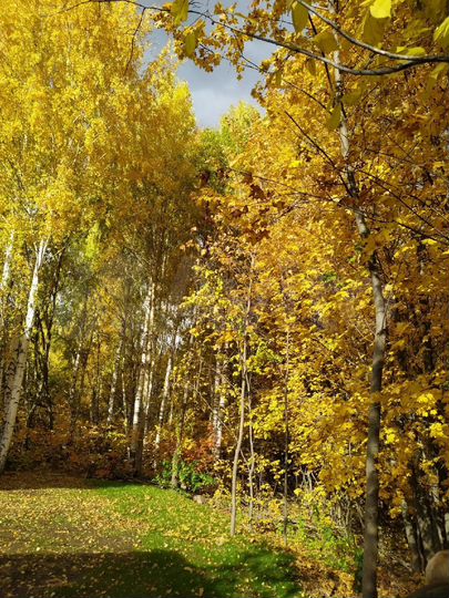 Участок 7 сот. (ИЖС)