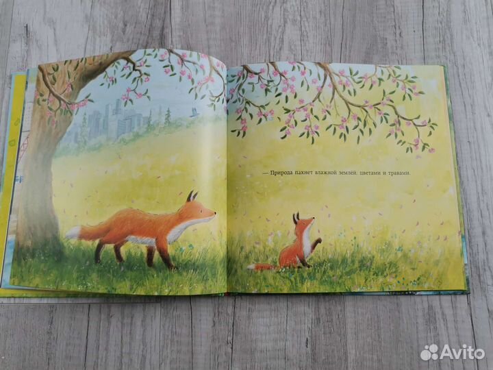 Лисенок в городе. Нигма