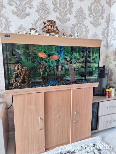 Аквариум с тумбой и внешним фильтром