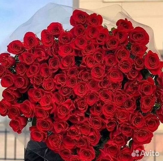 Цветы розы букеты 25 31 35 51 101 251 Доставка
