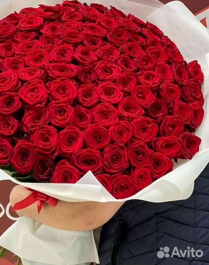 Высокие розы Гигантские розы 110