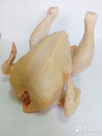 Домашнее мясо птицы