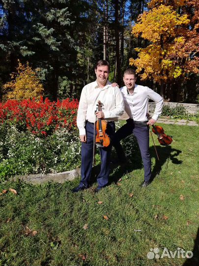 Дуэт скрипачей