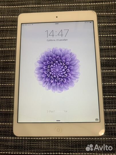 iPad mini 1