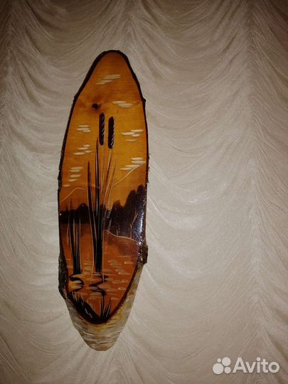 Плакеты на срезе березы