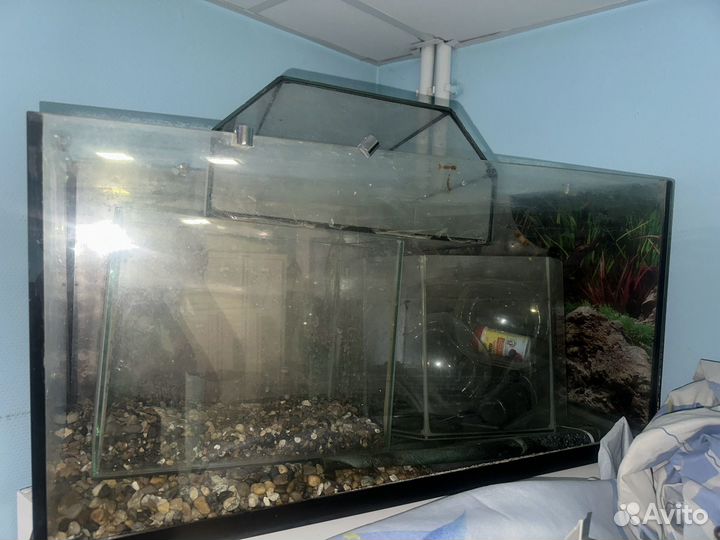 Аквариум