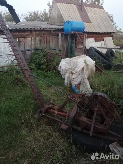 Сенокоска сегментная