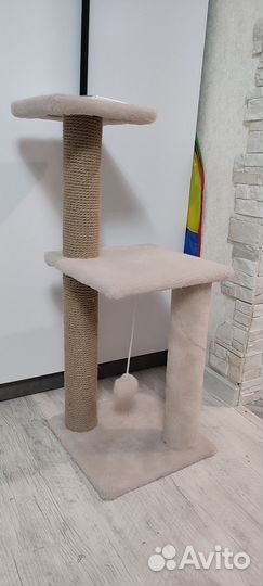 Когтеточка