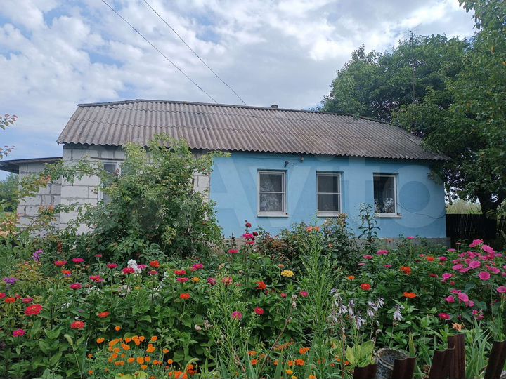 Дом 49 м² на участке 50 сот.