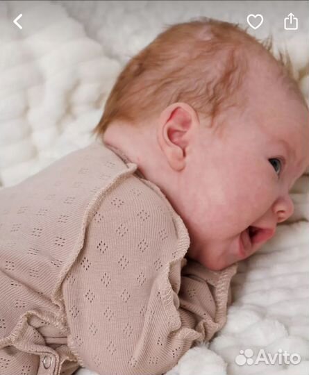 Боди и штанишки 62