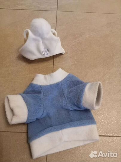 Одежда для собак