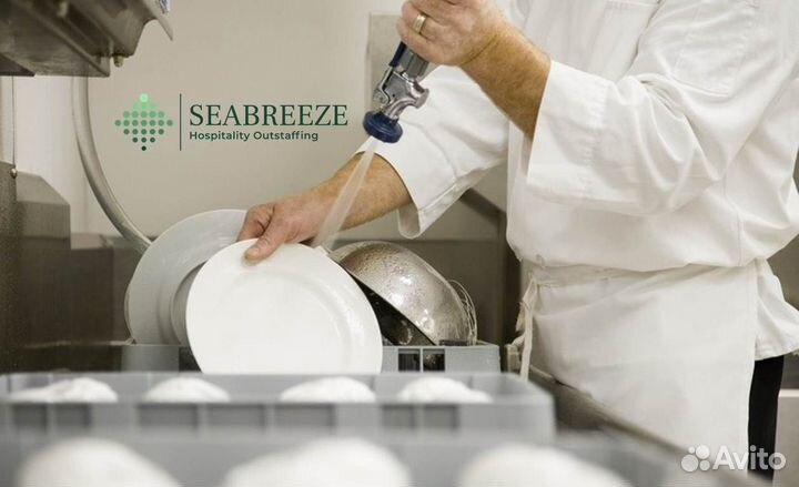 Посудомойщик (стюард)