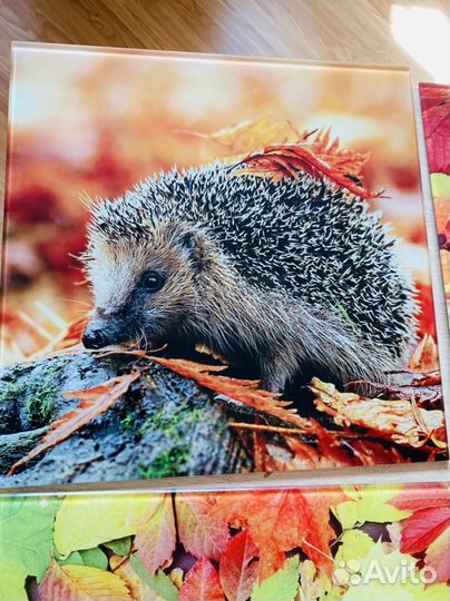 Картина на стекле