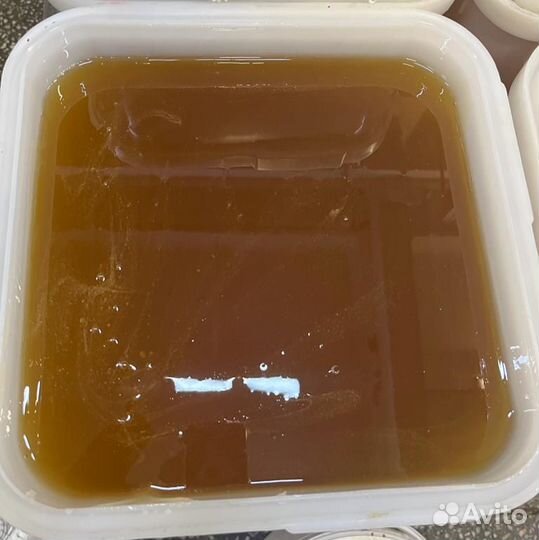 Липа свежая. Мёд натуральный оптом