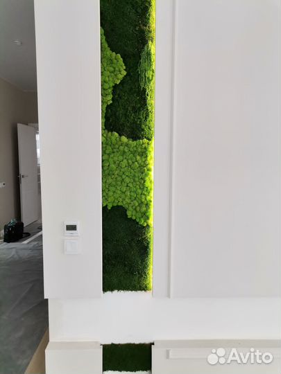 Стабилизированный мох