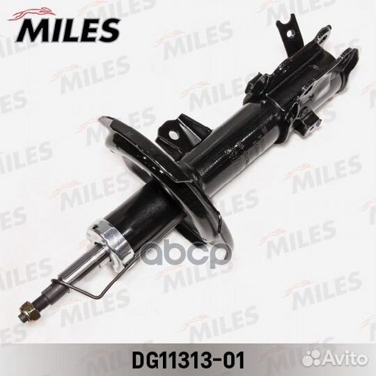 DG11313-01 DG11313-01 Miles