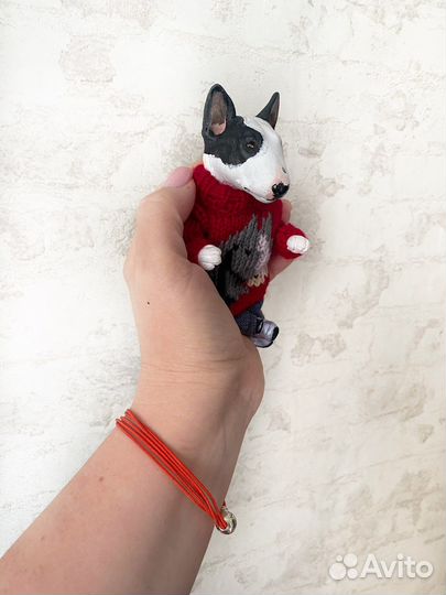 Бультерьер Граф