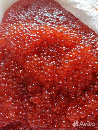Икра красная