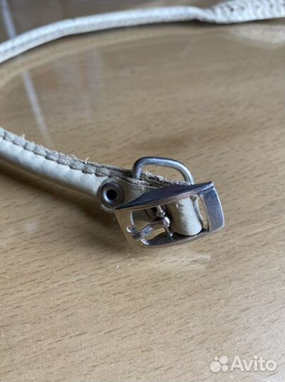 Ошейник для собак