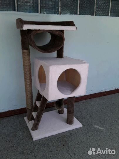 Когтеточка