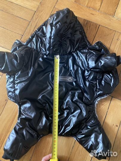 Одежда для собаки