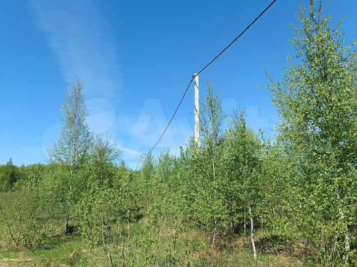 Участок 12,5 сот. (ИЖС)