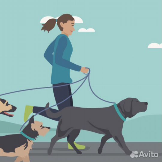 Выгул собак