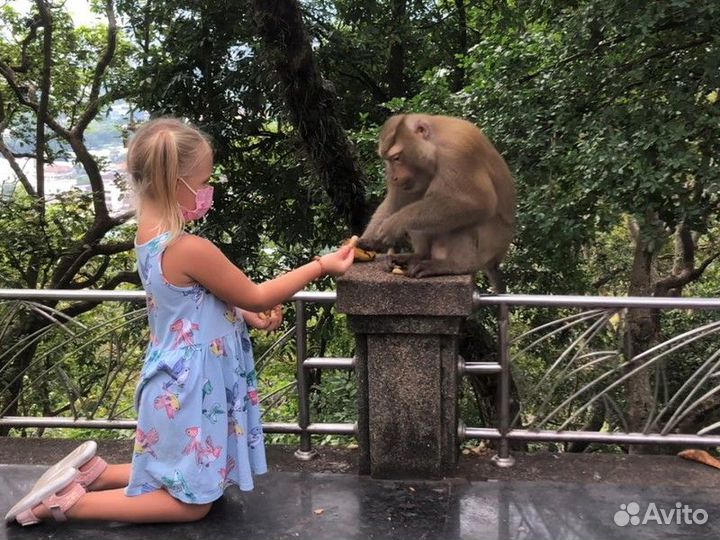 Экскурсия — Пхукет — Семейные Приключения На Пхуке