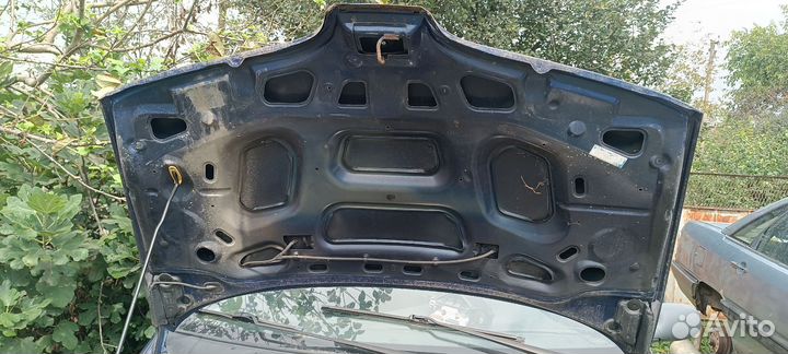 Капот Рено Сценик