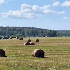 Сено в рулонах