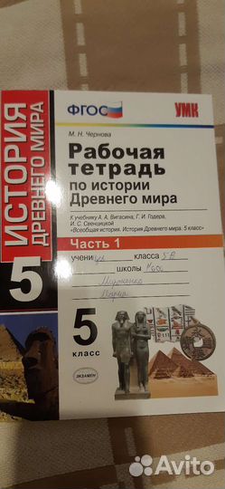 Рабочие тетради 5 класс