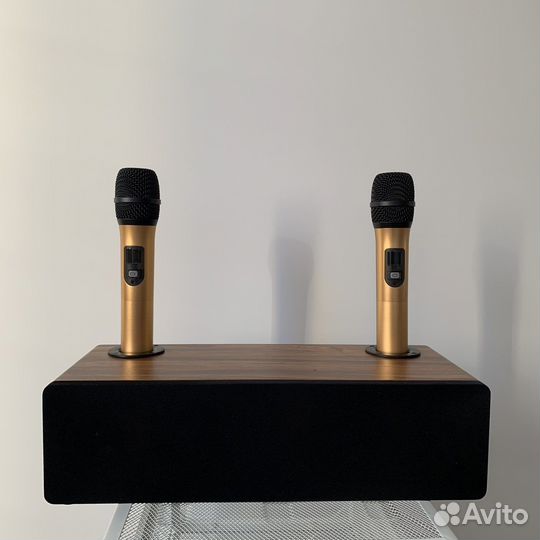 Караоке система для дома колонка для телевизора