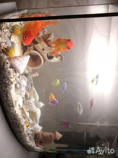 Аквариум на 45 л со всем необходимым
