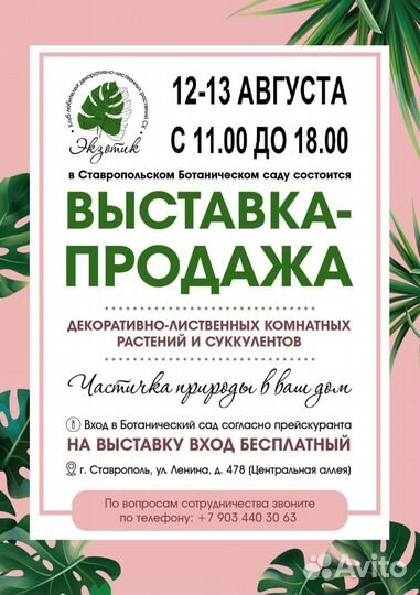 Выставка-продажа комнатных растений