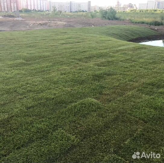 Газон, подготовка под газон под ключ