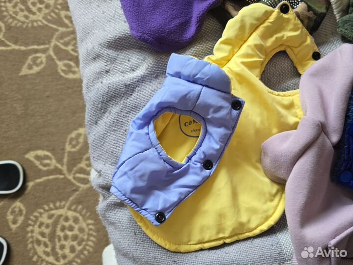 Вещи на мелкую собачку