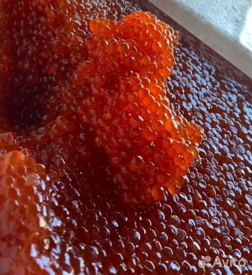 Красная Икра Камчатка 2023г, доставка