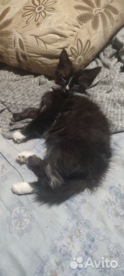 Сос помогите