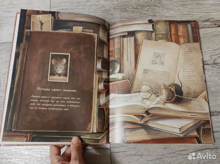 Книга Линдберг. Приключения летающего мышонка