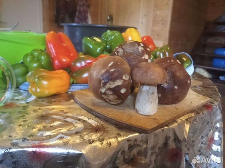 Домашние заготовки
