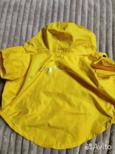 Одежда для собак мелких пород