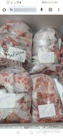 Корм для собак