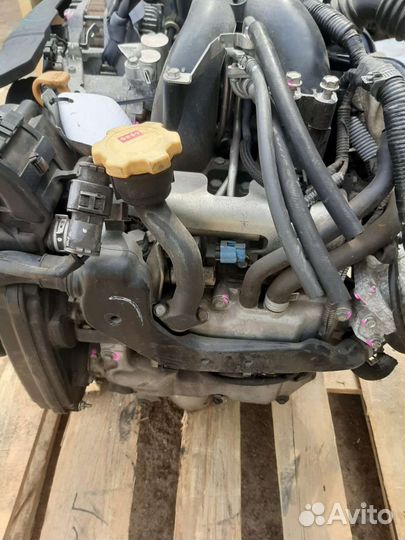 Двигатель Subaru ej205