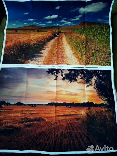 Картина на холсте, фотофон 2 шт