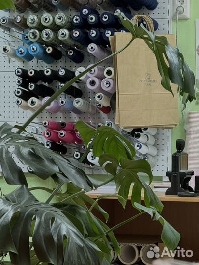 Пошив и брендирование одежды