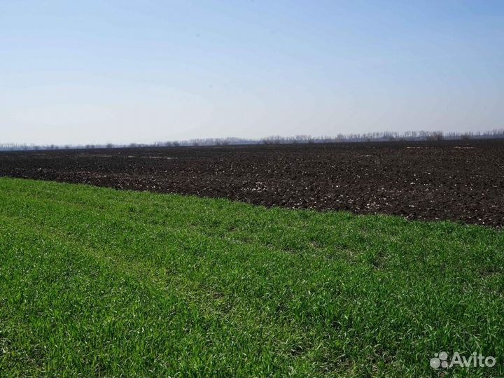 Плодородный грунт с доставкой. Шарапово