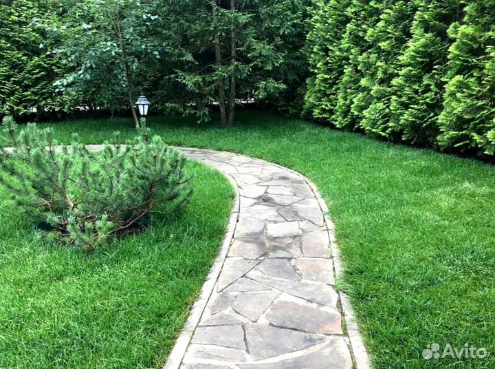 Газон. Рулонный газон