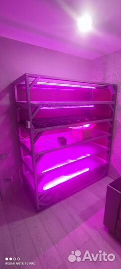 Стеллаж для выращивания микрозелени